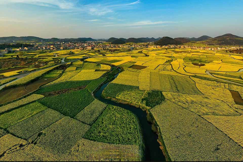 生態(tài)產(chǎn)區(qū)